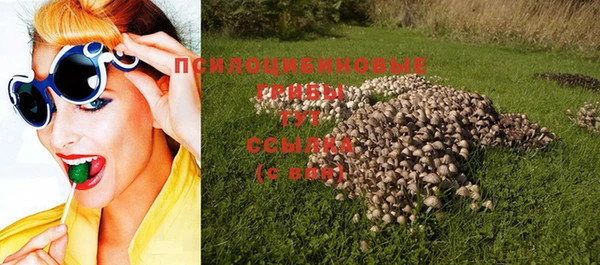 хмурый Волосово