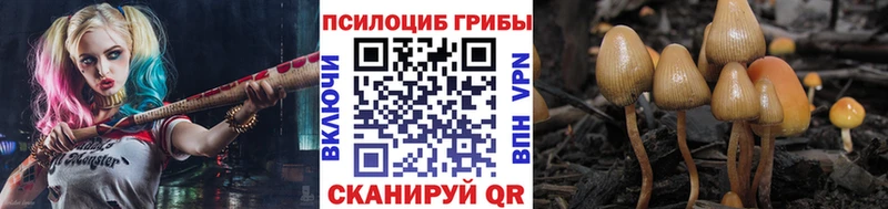 Купить где  Богданович  Галлюциногенные грибы мухоморы 